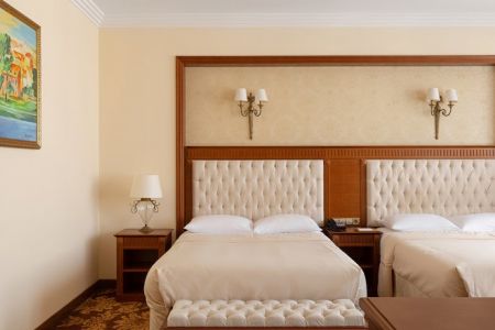 Standart 2-местный 1-комнатный (TWIN)