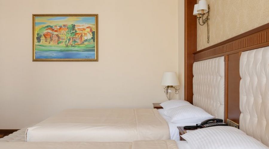 Standart 2-местный 1-комнатный (TWIN)